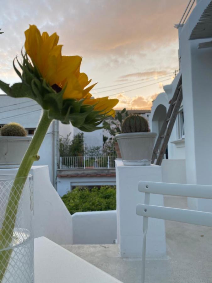 Suites Edivino Design Capri Exteriér fotografie