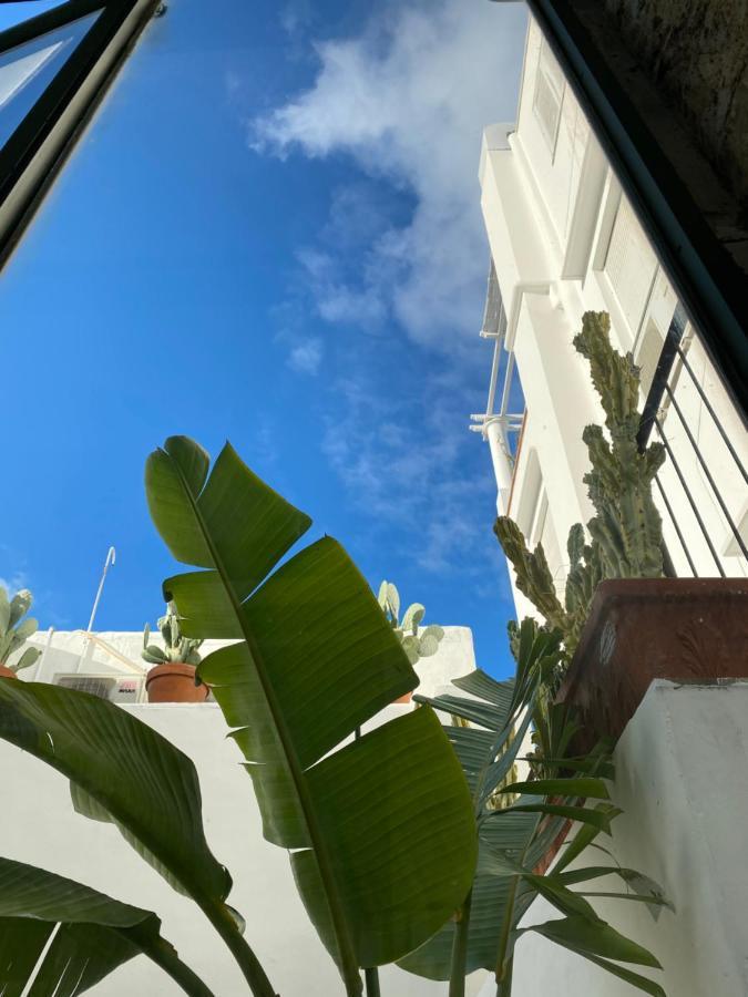 Suites Edivino Design Capri Exteriér fotografie