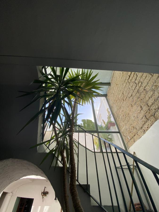 Suites Edivino Design Capri Exteriér fotografie